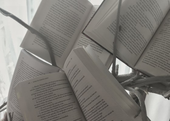 Books Quotes Reading