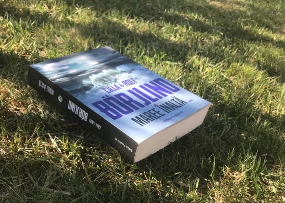 Spring tide book review Cilla & Rolf Borjlind