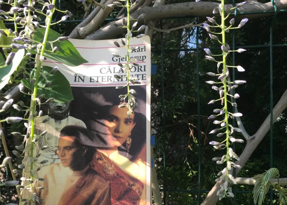 Calatori in eternitate Karl Gjellerup Book review Bookblog