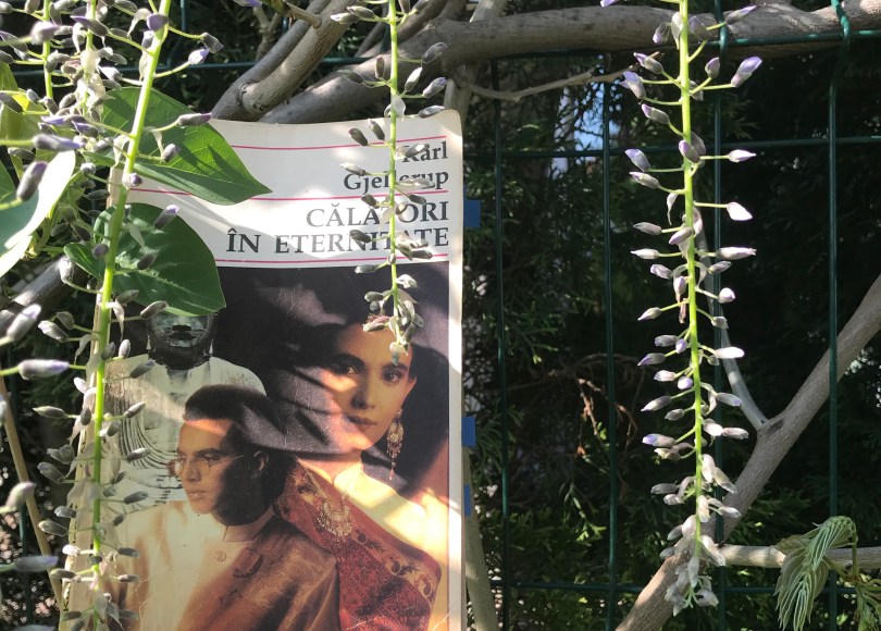 Calatori in eternitate Karl Gjellerup Book review Bookblog