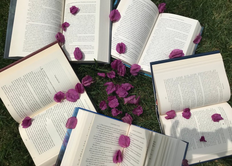 Books Book quotes Quotes about books