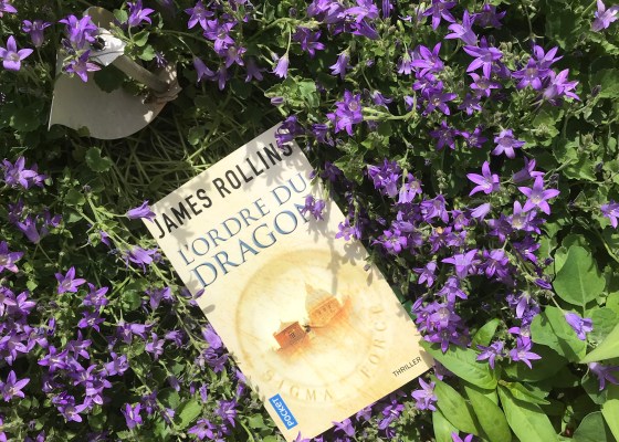 Map of Bones James Rollins Book review