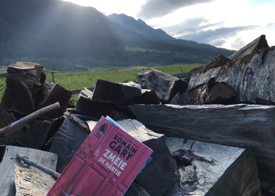 Romain Gary Les cerfs-volants Book review