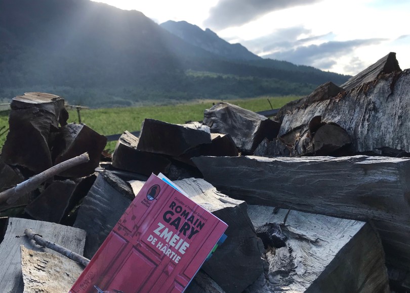 Romain Gary Les cerfs-volants Book review