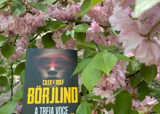 The third voice Book review Thriller Cilla Borjlind